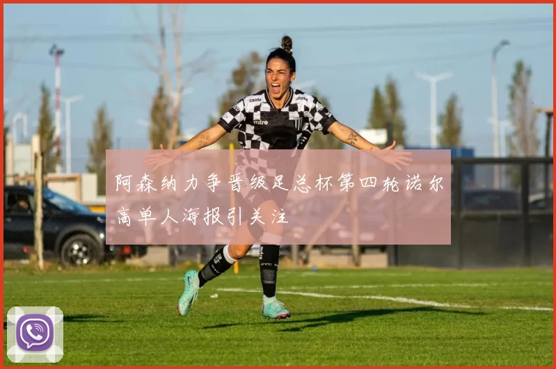 阿森纳力争晋级足总杯第四轮诺尔高单人海报引关注