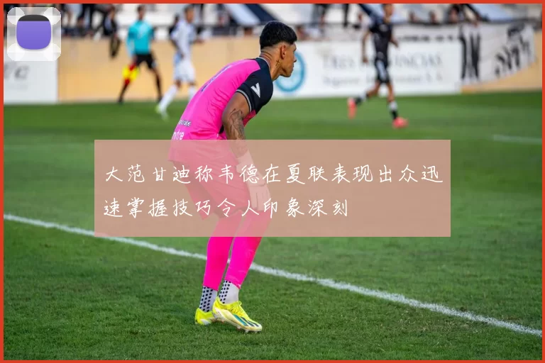大范甘迪称韦德在夏联表现出众迅速掌握技巧令人印象深刻